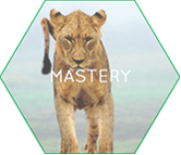 Mastery Thumb